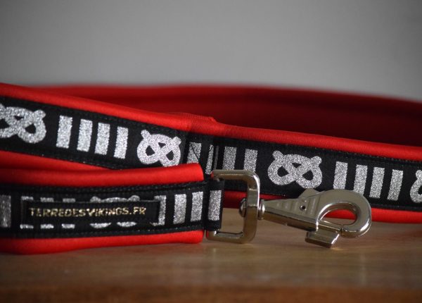 Laisse pour staffie - rouge