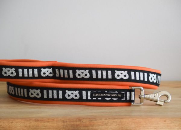 Laisse pour staffie - Orange