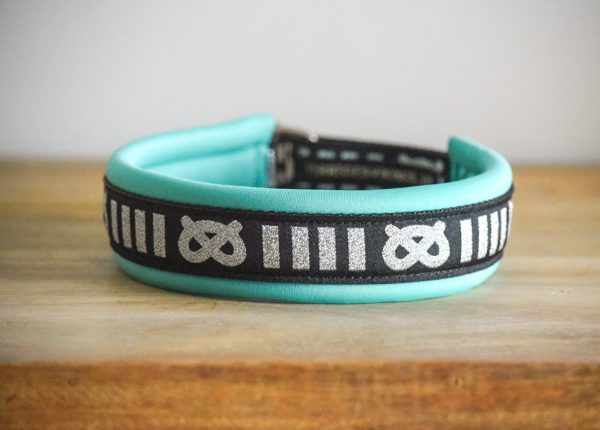 collier pour staffie bleu