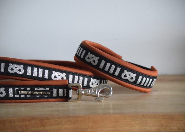 Laisse pour staffie - terracotta