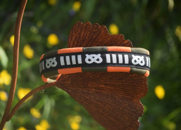collier pour chien